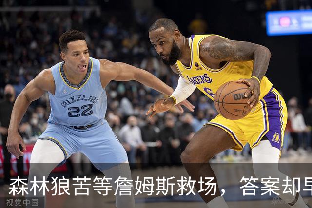 森林狼苦等詹姆斯救场，答案却早已身披5号